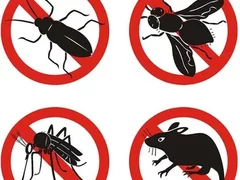 Servicii de dezinsectie, deratizare, dezinfectie