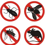 Servicii de dezinsectie, deratizare, dezinfectie plosnite de pat